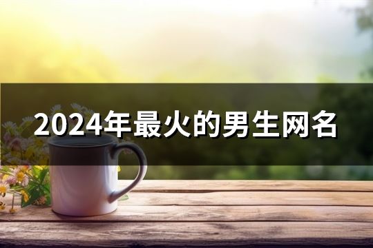 2024年最火的男生網名(共146個)