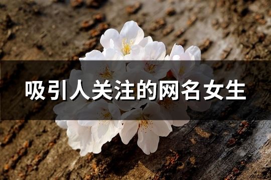 吸引人關注的網名女生(精選148個)