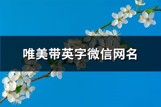 唯美帶英字微信網名(精選113個)