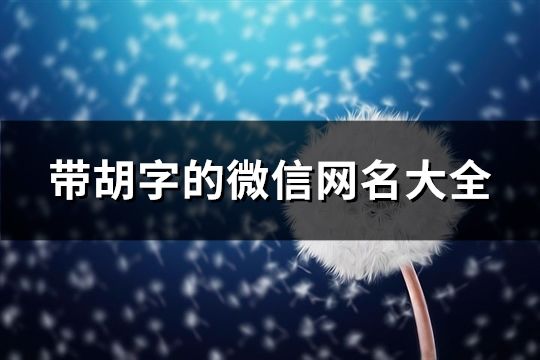 帶胡字的微信網名大全(精選175個)