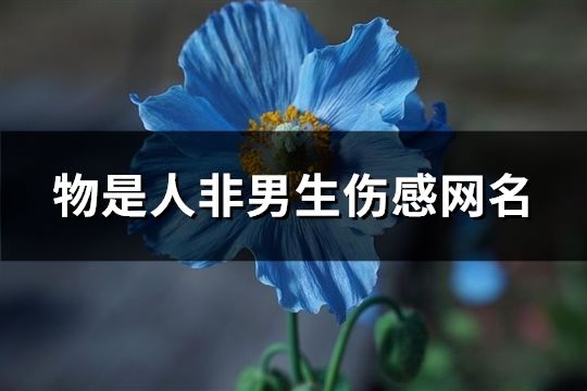 物是人非男生傷感網(wǎng)名(共102個)