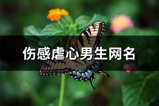 傷感虐心男生網(wǎng)名(102個(gè))