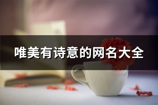 唯美有詩意的網名大全(186個)