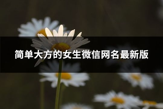 簡單大方的女生微信網名最新版(精選257個)