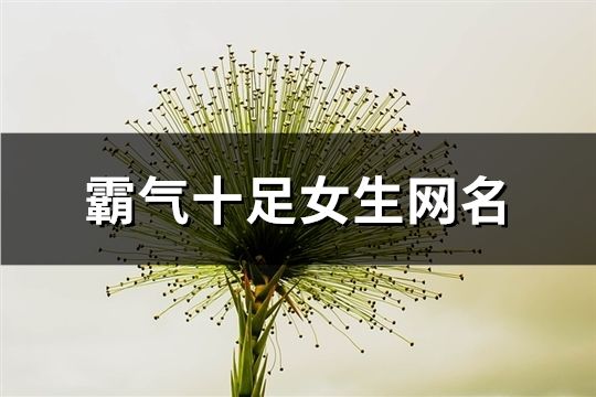 霸氣十足女生網名(精選199個)