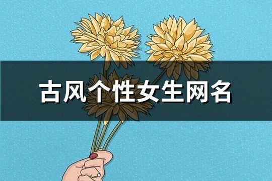 古風(fēng)個(gè)性女生網(wǎng)名(共160個(gè))