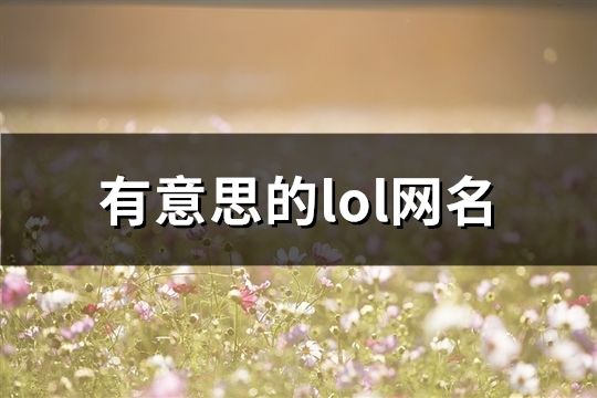 有意思的lol網名(共146個)