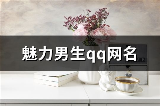 魅力男生qq網名(共60個)