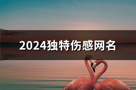 2024獨特傷感網名(精選75個)