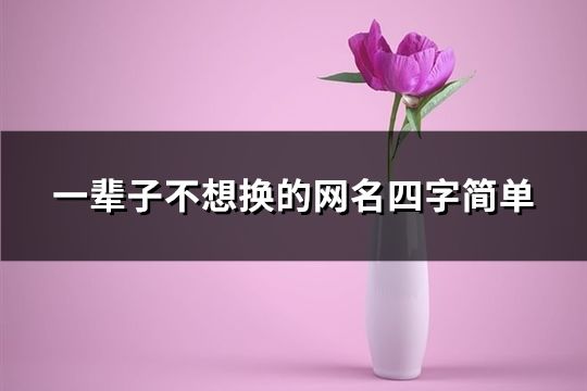 一輩子不想換的網名四字簡單(精選182個)