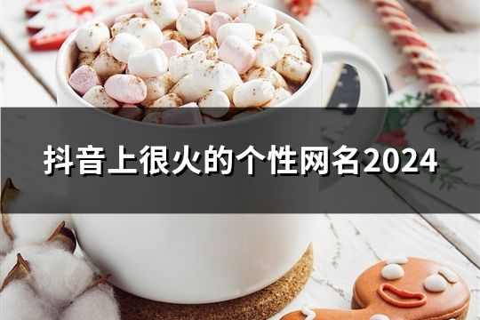 抖音上很火的個性網名2024(41個)