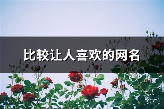比較讓人喜歡的網名(共41個) 比較讓人喜歡的網名(共41個)