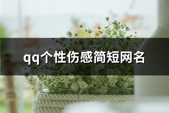 qq個(gè)性傷感簡(jiǎn)短網(wǎng)名(共124個(gè))