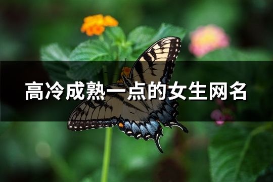 高冷成熟一點的女生網名(178個)