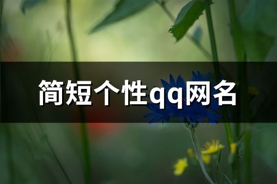 簡短個性qq網名(193個)