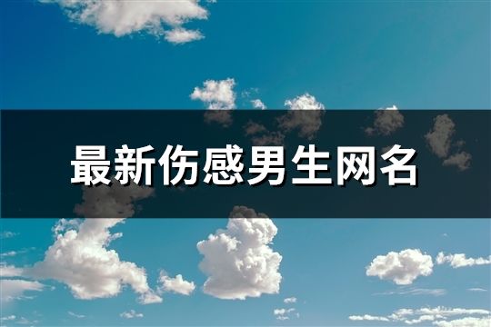 最新傷感男生網名(共116個)