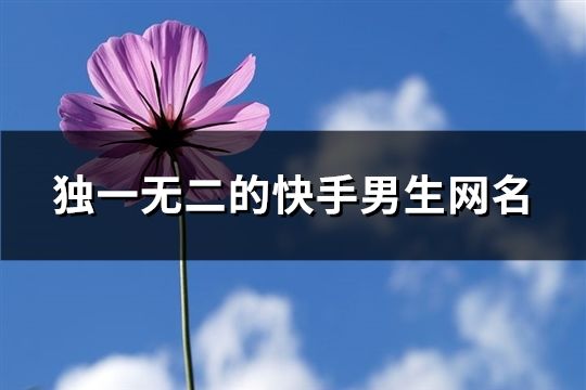 獨(dú)一無(wú)二的快手男生網(wǎng)名(82個(gè))