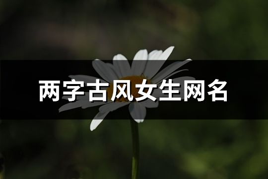 兩字古風(fēng)女生網(wǎng)名(共141個)