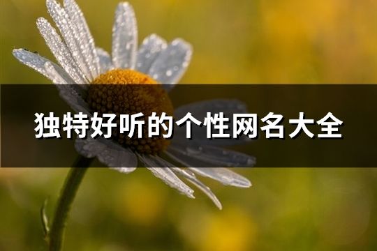 獨特好聽的個性網(wǎng)名大全(共195個)