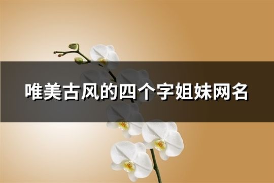 唯美古風(fēng)的四個(gè)字姐妹網(wǎng)名(精選98個(gè))