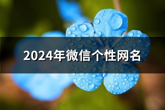 2024年微信個(gè)性網(wǎng)名(107個(gè))