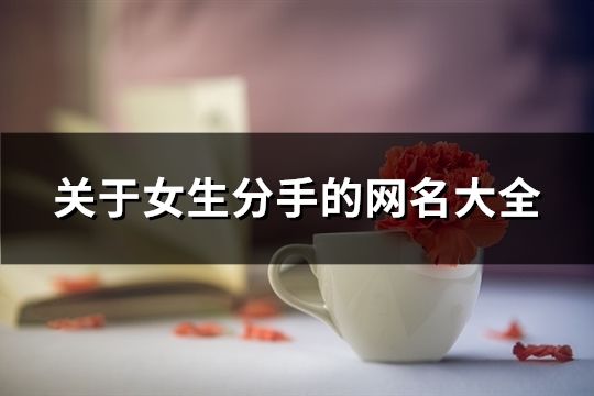 關于女生分手的網名大全(共66個)