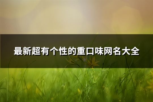 最新超有個(gè)性的重口味網(wǎng)名大全(共79個(gè))