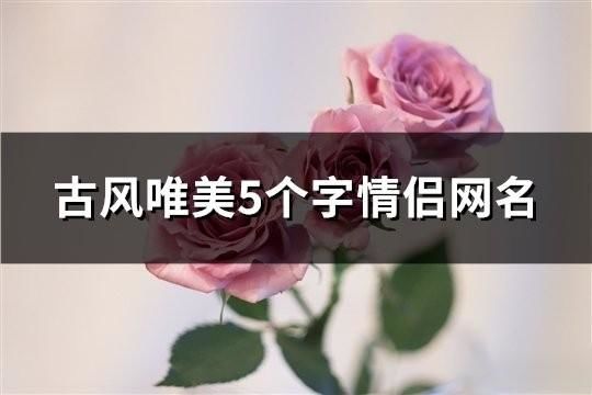 古風唯美5個字情侶網名(184對)