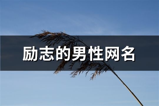 勵志的男性網(wǎng)名(共82個)