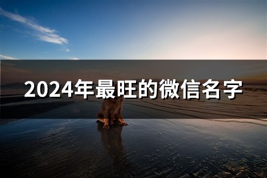 2024年最旺的微信名字(共129個)