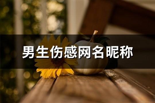 男生傷感網名昵稱(共155個)