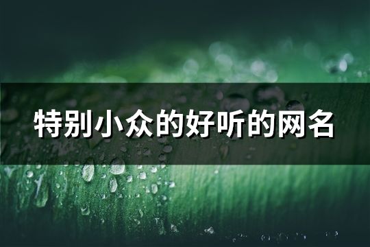 特別小眾的好聽的網名(共200個)