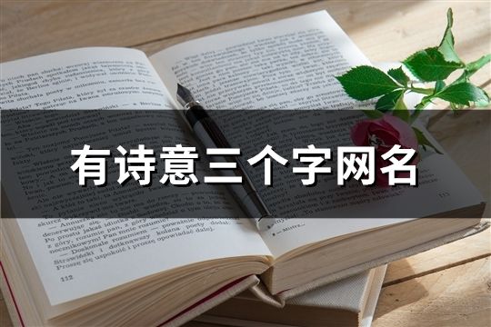 有詩意三個字網名(107個)