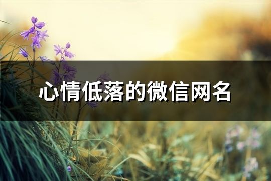 心情低落的微信網名(精選374個)