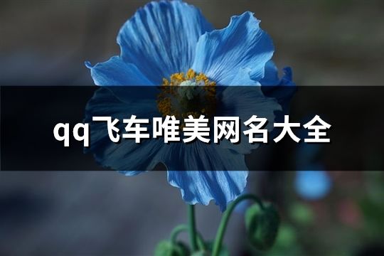 qq飛車唯美網(wǎng)名大全(精選546個)