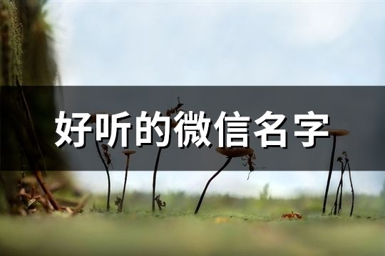 好聽的微信名字(精選527個)