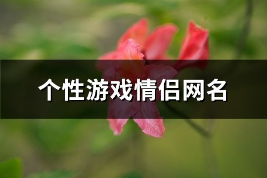 個性游戲情侶網名(共265個)