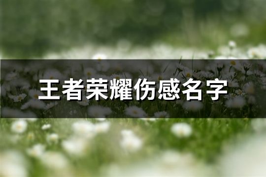 王者榮耀傷感名字(456個)