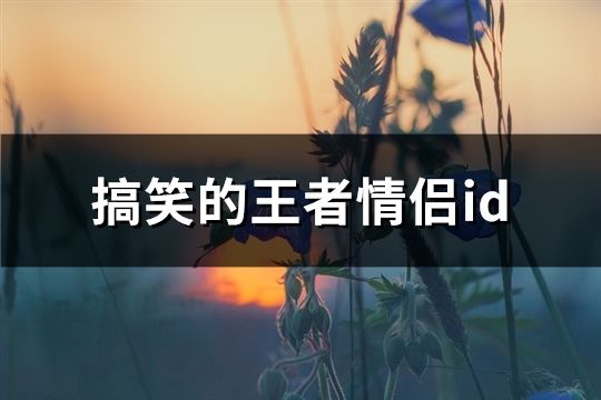 搞笑的王者情侶id(共121個)