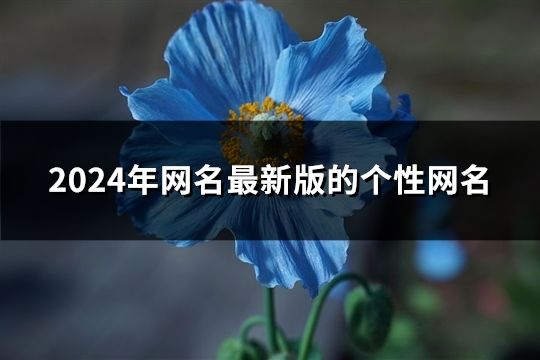 2024年網(wǎng)名最新版的個(gè)性網(wǎng)名(精選159個(gè))