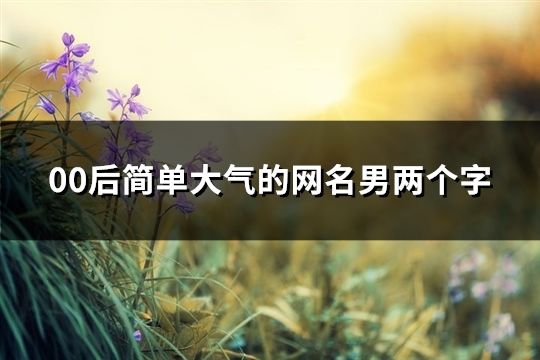 00后簡單大氣的網名男兩個字(83個)