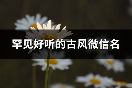 罕見好聽的古風微信名(79個)