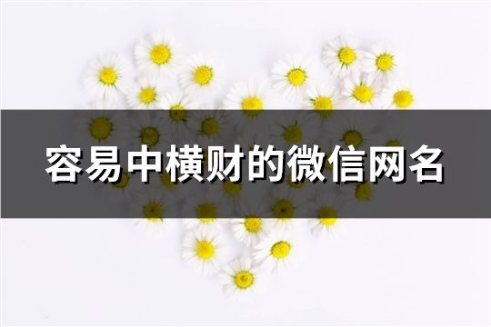 容易中橫財的微信網名(1046個)