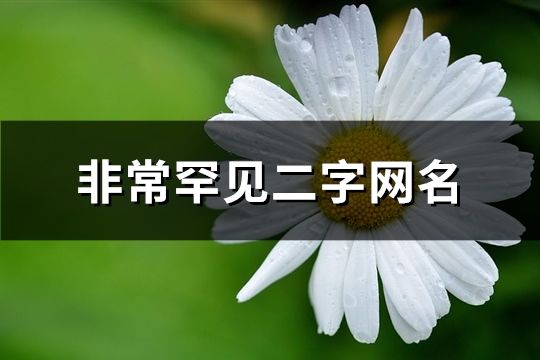 非常罕見二字網名(精選2178個)