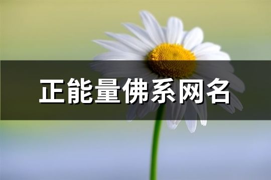 正能量佛系網名(共136個)