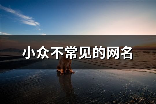 小眾不常見(jiàn)的網(wǎng)名(共127個(gè))