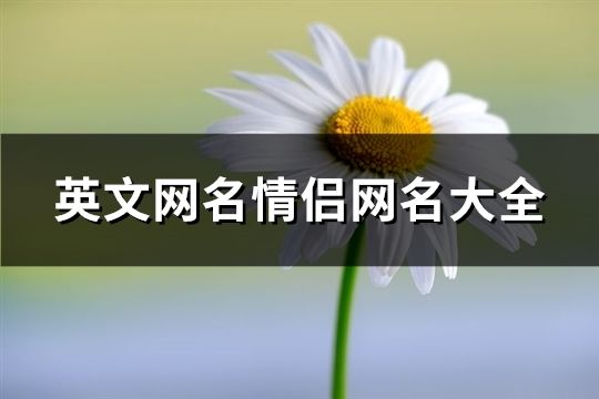 英文網(wǎng)名情侶網(wǎng)名大全(共157個(gè))