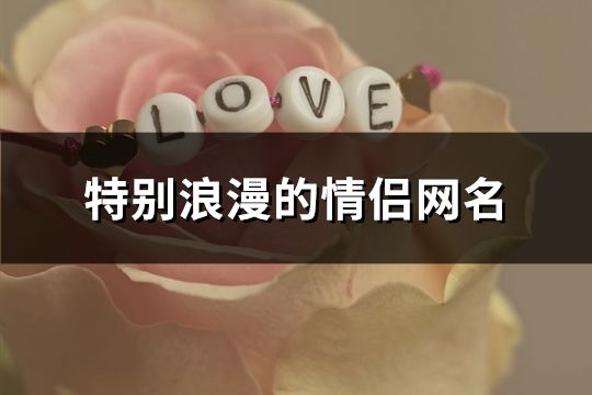 特別浪漫的情侶網(wǎng)名(精選295個)