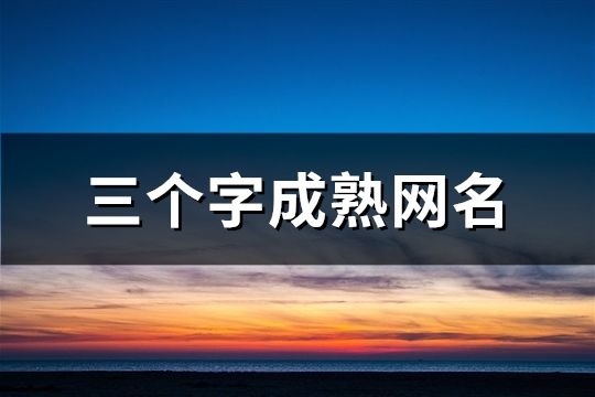 三個字成熟網名(66個)