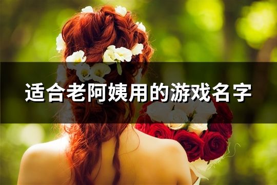 適合老阿姨用的游戲名字(277個)